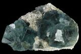 Cubic, Blue-Green Fluorite Crystals on Quartz - China #138072-1